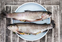 Pescado de montaña
